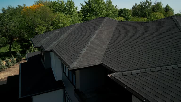 Best Roof Moss and Algae Removal  in Bruceton, TN