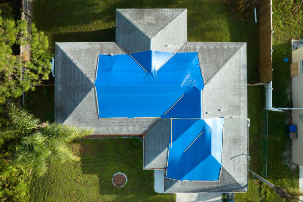 Best Skylight Installation and Repair  in Bruceton, TN