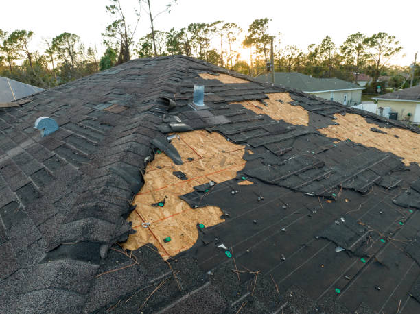 Best 4 Ply Roofing  in Bruceton, TN