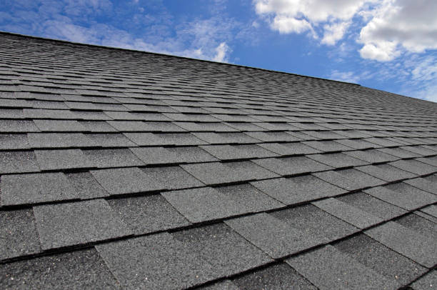 Best Roof Inspection  in Bruceton, TN